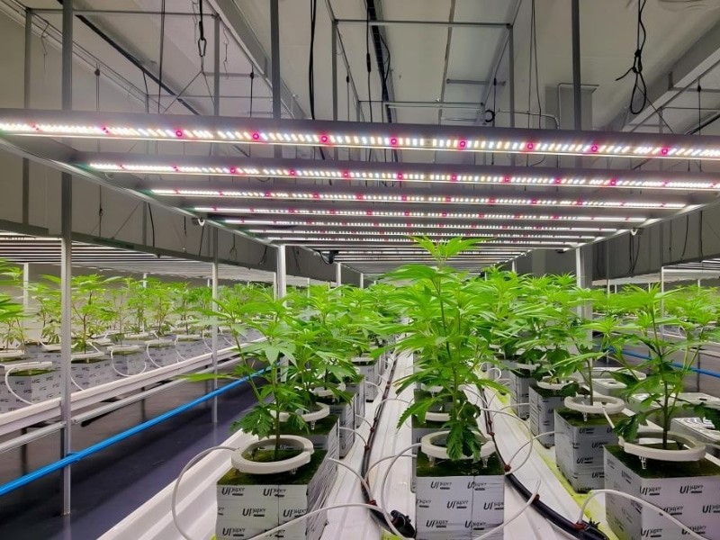 foldable LED grow lights